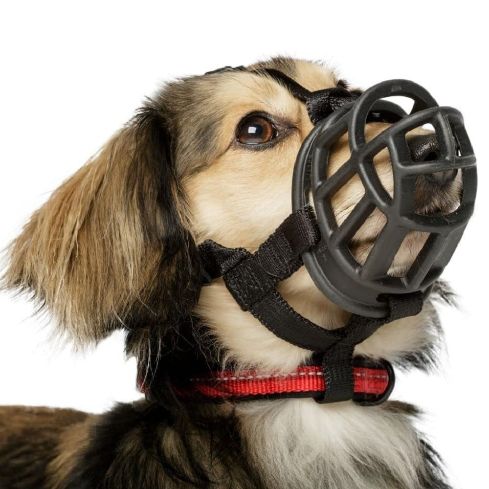 Baskerville Ultra Muzzle - Secure & Comfortable Dog Muzzle for Medium to Large Breeds - Perfect for Training, Grooming, and Vet Visits