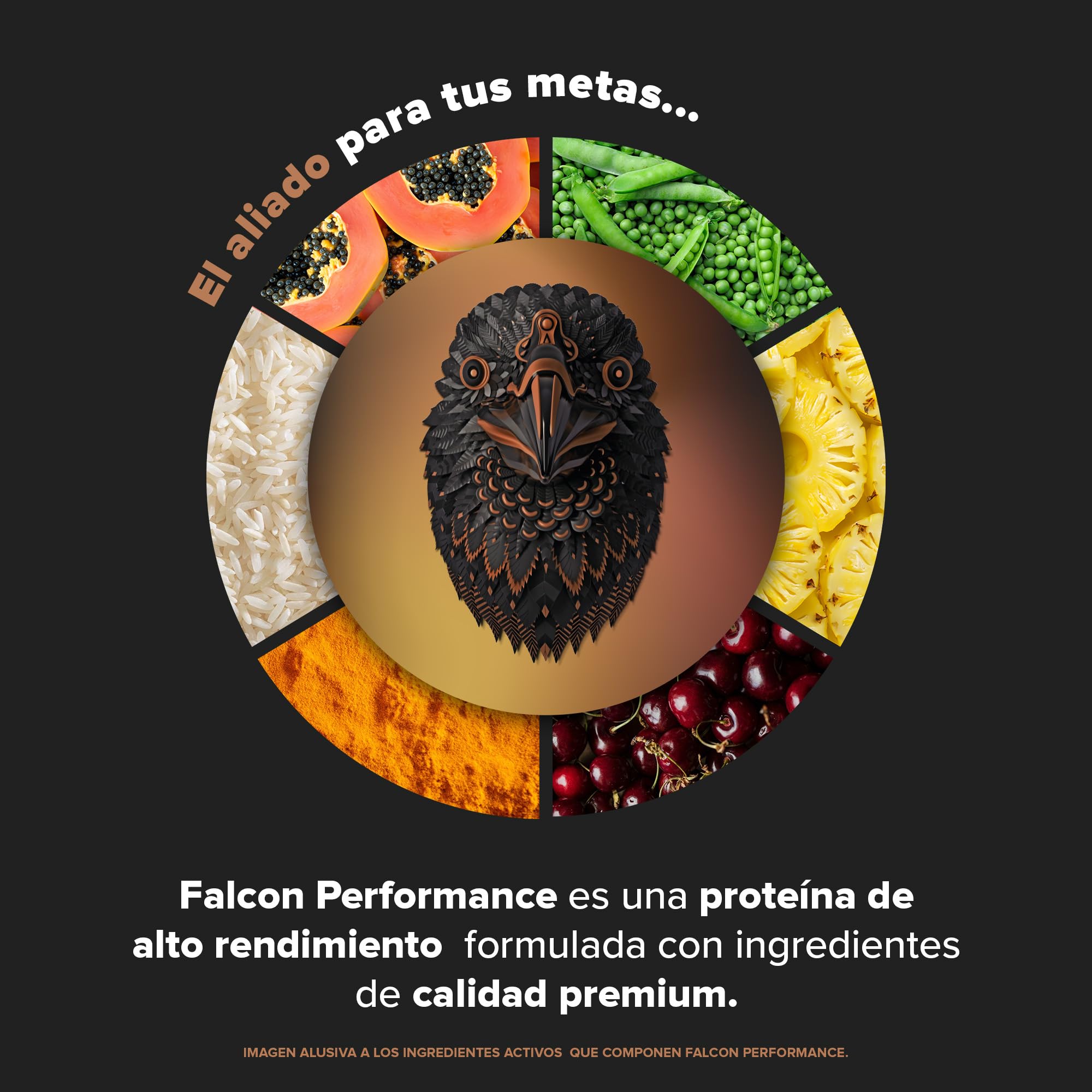 BIRDMAN Falcon Performance Premium Sport Protein Powder with Creatine - 31g Protein & 5g Creatine per Serving, No Inflammation or Acne, Chocolate Flavor (1.9kg) for Muscle Recovery & Post-Workout Nutrition