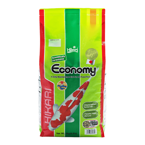 Hikari Koi Economy Floating Pellet Fish Food - Premium Floating Pellets for Koi, Goldfish & Pond Fish - Ideal for Outdoor Ponds, Water Gardens & Aquariums