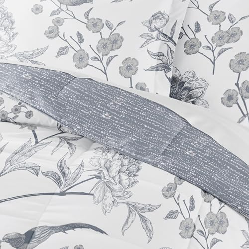 Molly Botanicals Light Blue