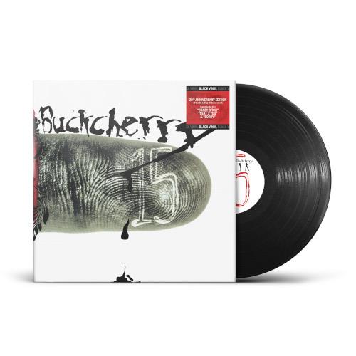 15 (20th Anniversary Edition) - Limited Edition Import Vinyl Record - Perfect for Music Collectors & Anniversary Gifts