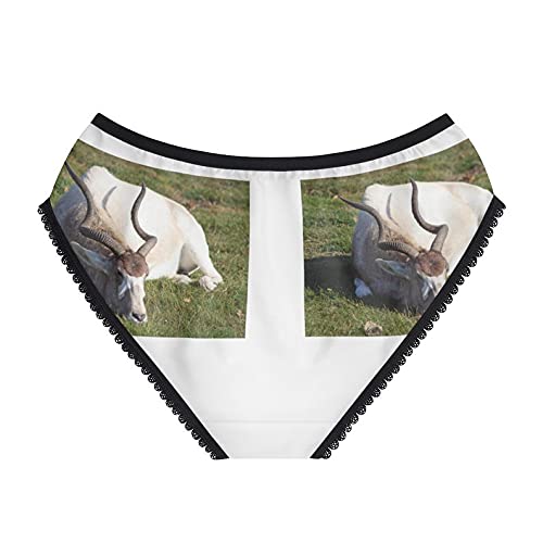 Addax Women's Cotton Briefs - Soft & Comfortable Underwear for Everyday Wear - Funny & Stylish Panties for Work, Gym & Relaxation