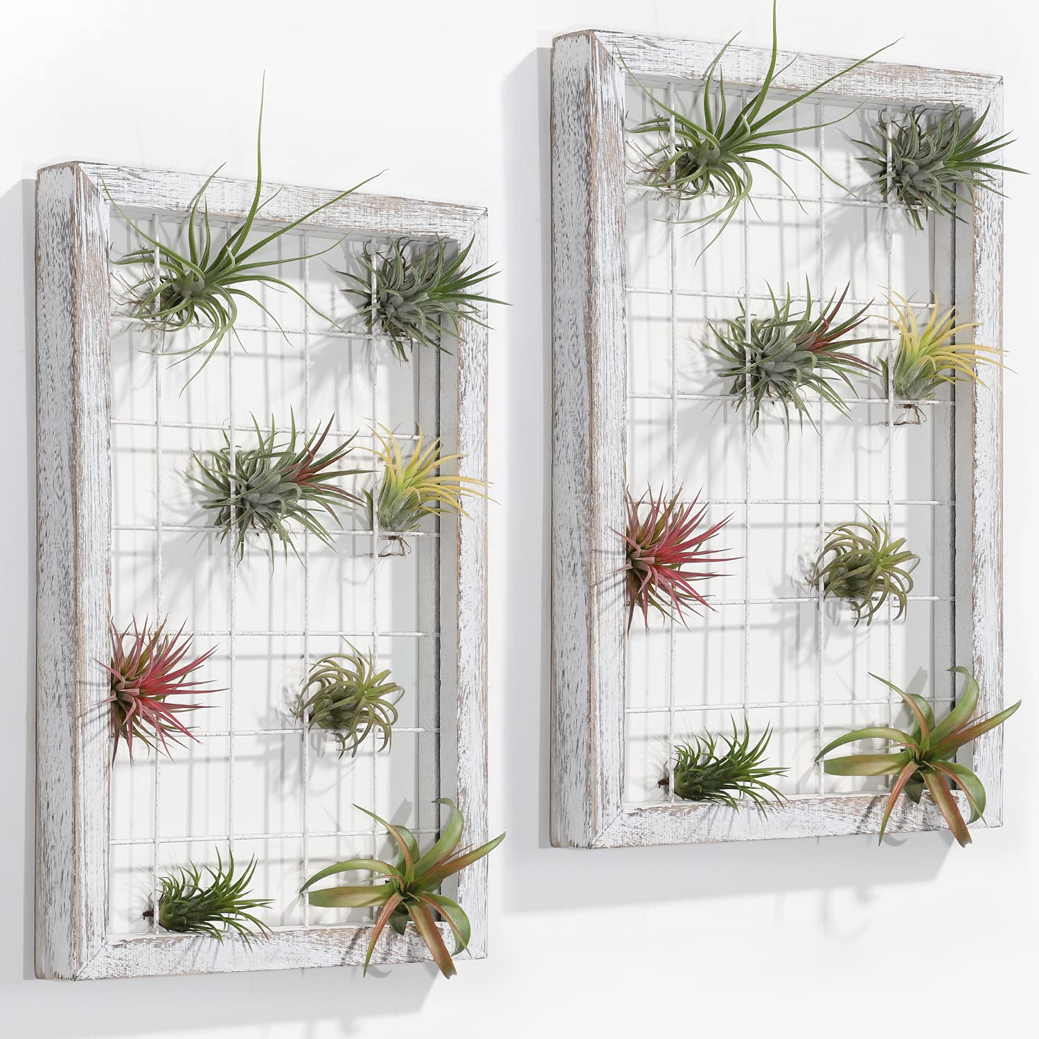 2 Pack Rustic Wood Air Plant Holders - Wall Mounted Hanger Stands for Tillandsia, Home Office & Farmhouse Decor | Perfect for Indoor Greenery, Boho & Minimalist Style