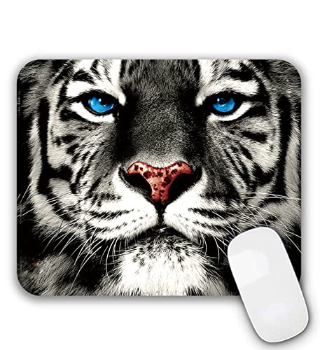 Tiger face