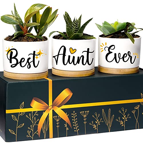Aunt Planter