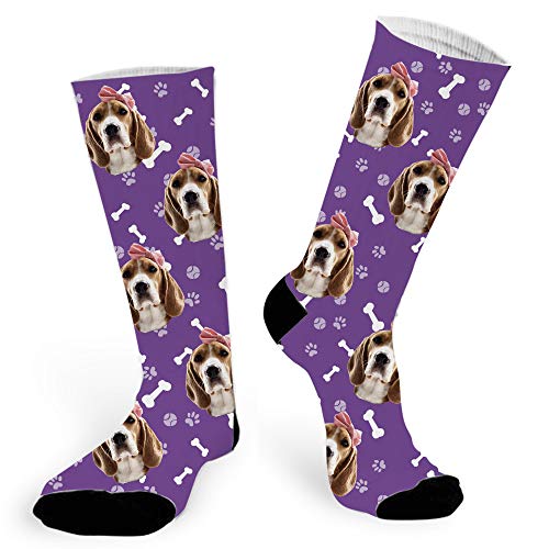 Purple Dog