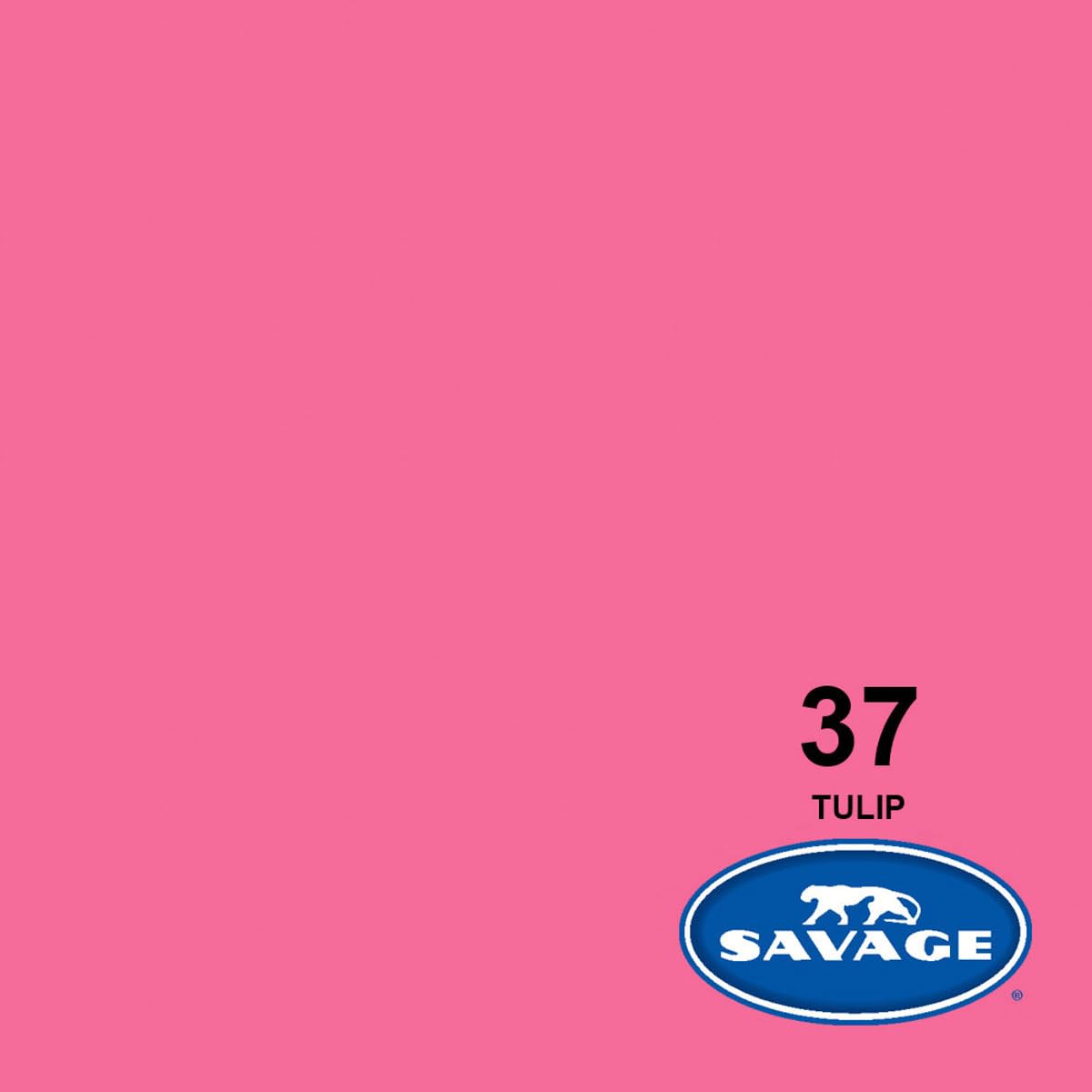 Savage Widetone Seamless Background Paper - 86