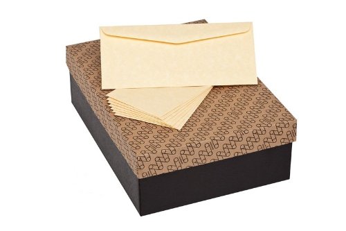 Premium Mohawk Skytone Vellum Parchment Envelopes - Champagne Shade #10 (4-1/8