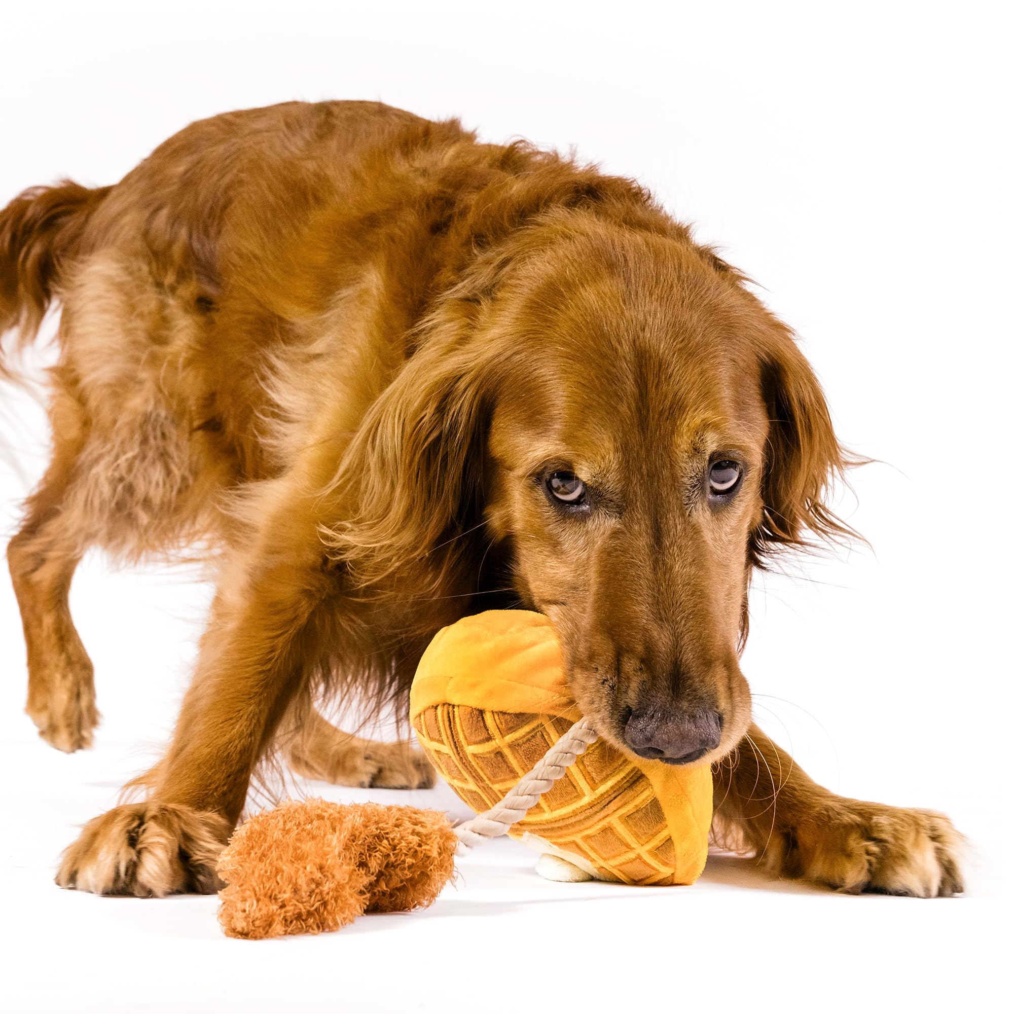 P.L.A.Y. Cute Plush Dog Toys - Durable Brunch Food Themed Squeaker Rope Chew Toy for Puppies & Small to Large Dogs | Machine Washable, Eco-Friendly Recycled Materials (Chicken & Waffles, Medium) - Perfect for Playtime, Training, and Indoor/Outdoor Fun