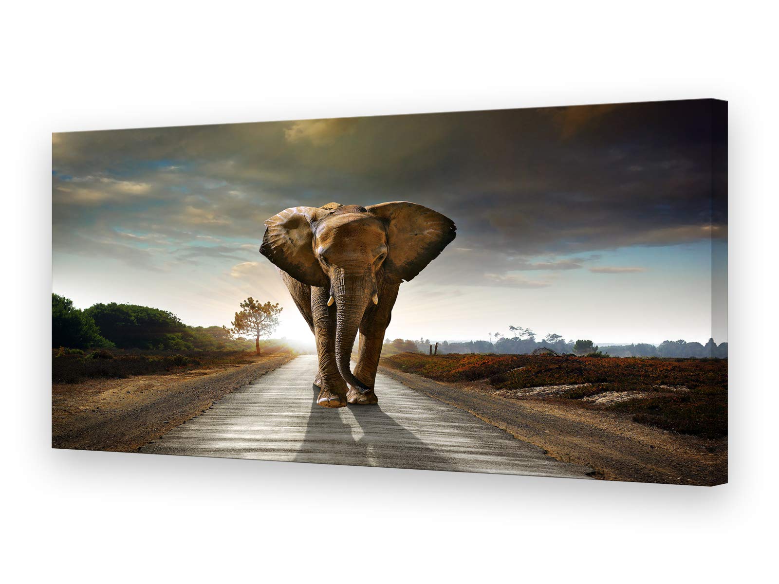 Muolunna D1262 Elephant Canvas Wall Art - Stretched & Framed Grey Landscape Animal Painting for Living Room, Bedroom, Home Office & Kitchen Decor | Perfect for Nature Lovers & Modern Interior Design