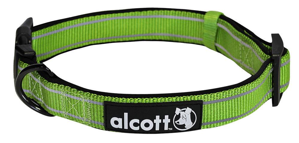 Adventure Collar Green - Durable & Adjustable Dog Collar for Hiking, Camping & Outdoor Activities | Perfect for Active Pets