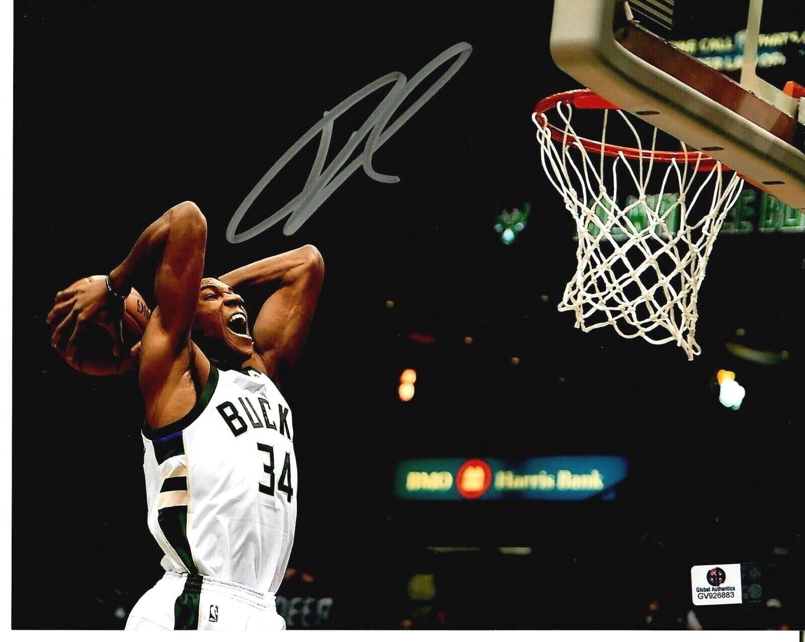 Giannis Antetokounmpo Signed Milwaukee Bucks 10x8 Color Photo with COA - Authentic NBA Memorabilia for Sports Collectors & Fans