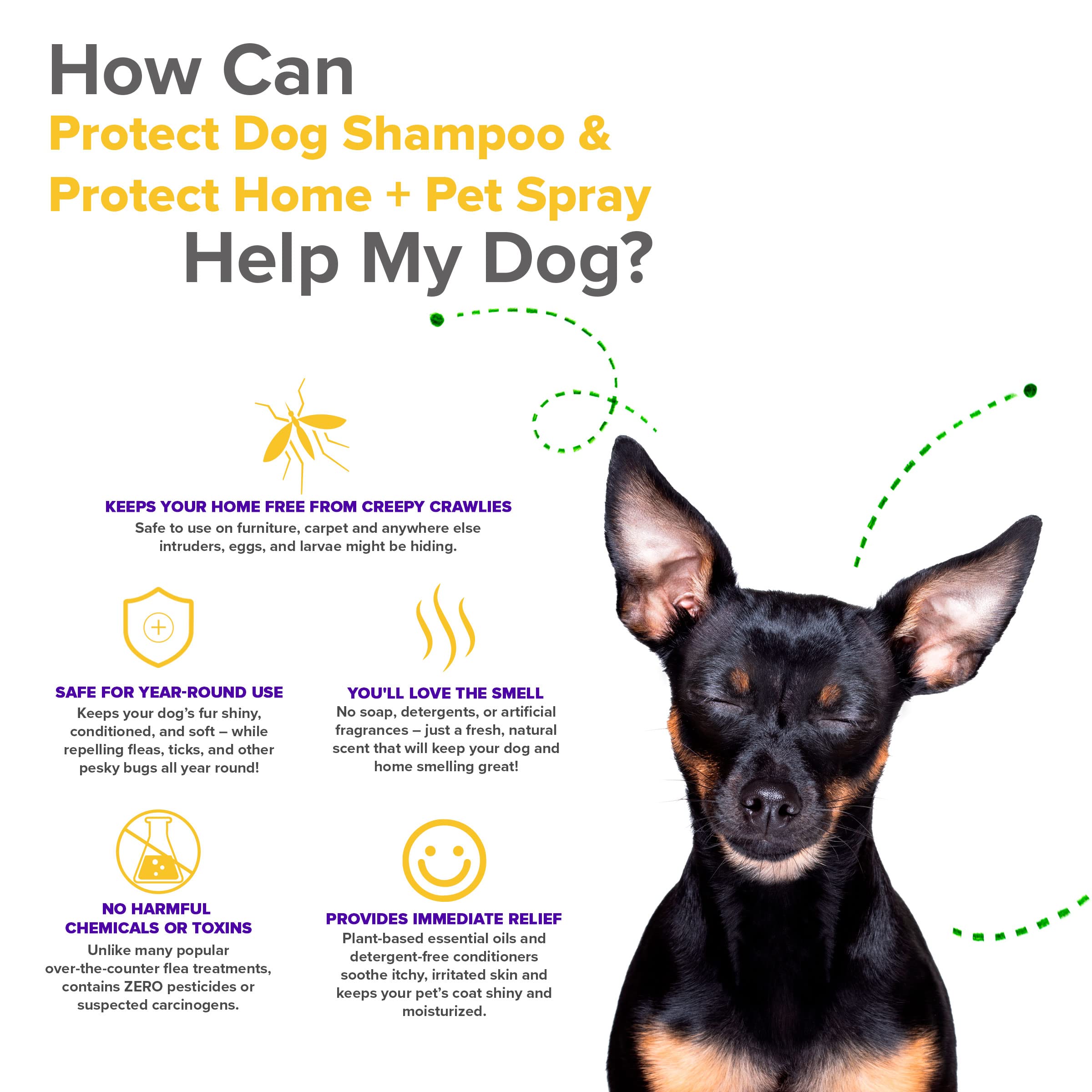 Natural Dog Shampoo & Spray for Itchy Skin Relief - Plant-Based Formula with Essential Oils to Stop Scratching & Hot Spots | Made in USA | Perfect for Bath Time & Allergy Relief