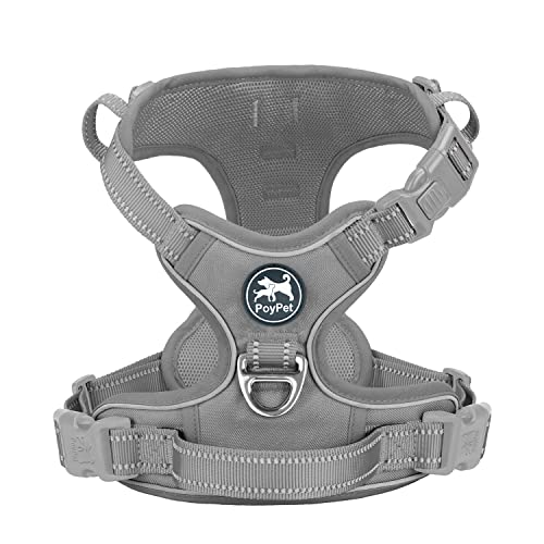 Grey(Matching Trim)