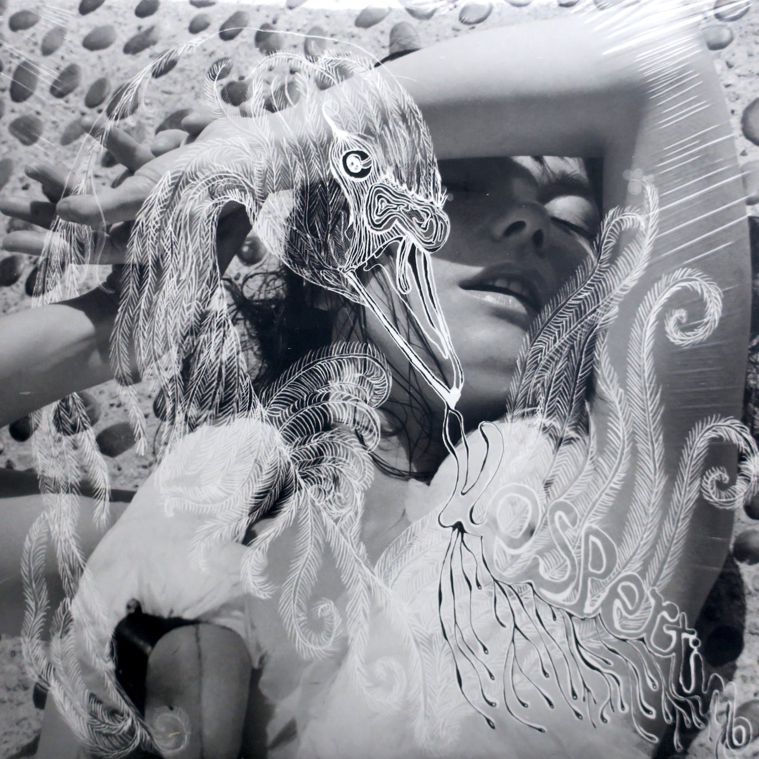 BJORK 'Vespertine' 180 Gram Vinyl 2LP Record - Limited Edition Audiophile Vinyl for Music Collectors & Home Listening