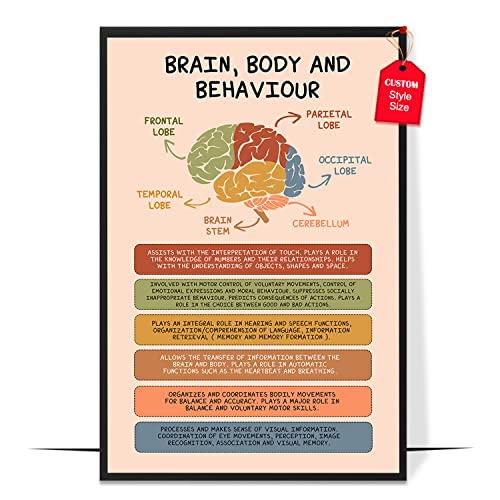Brain Anatomy & Psychology