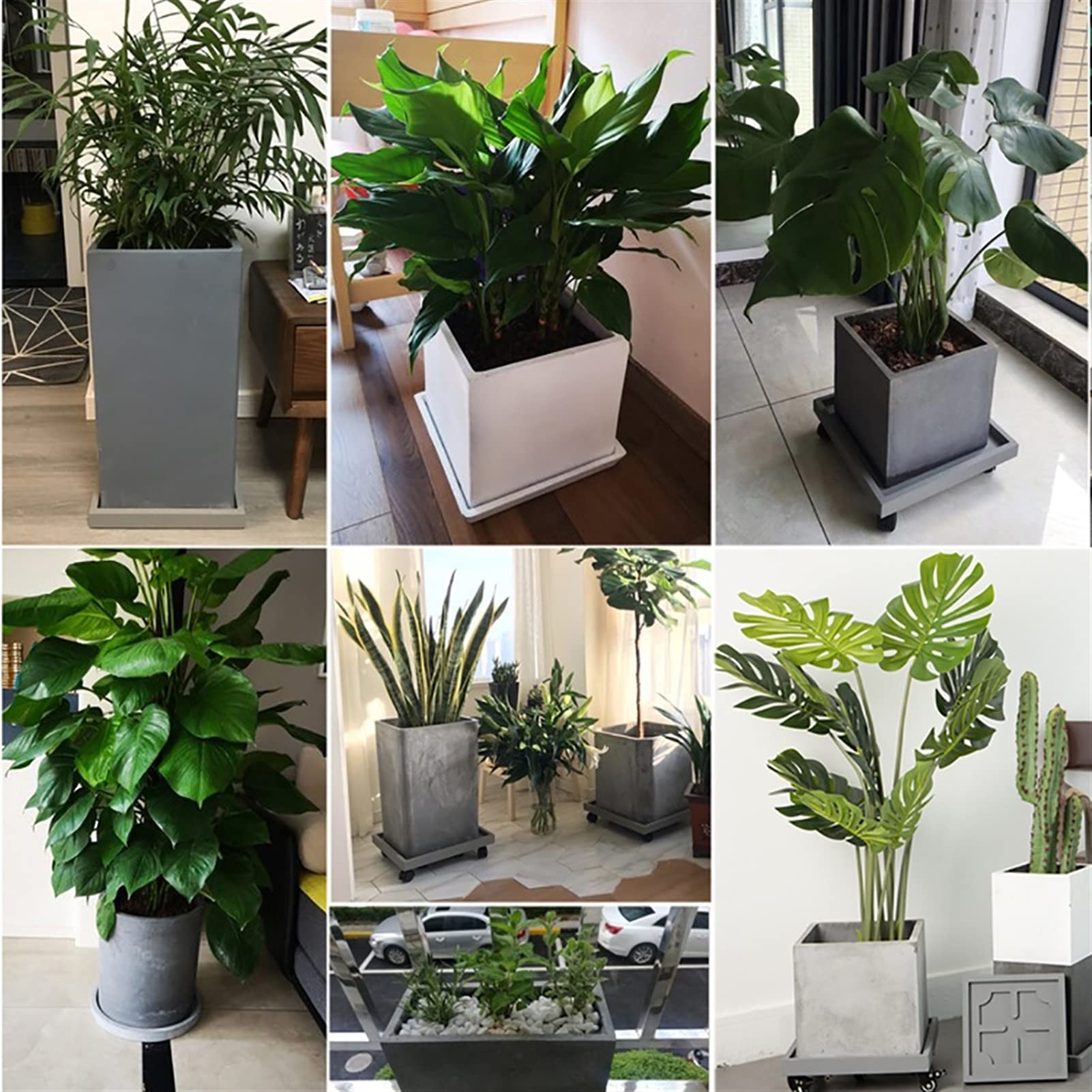 Heavy Duty Square Plant Caddies with Wheels - 28cm Rolling Plant Stand Pot Trolley, Wheeled Planter Saucer Tray for Indoor Outdoor Use - Potted Flower Mover Dolly with Casters (Gray) - Perfect for Moving Large Plants on Patios, Decks and Garden Spaces