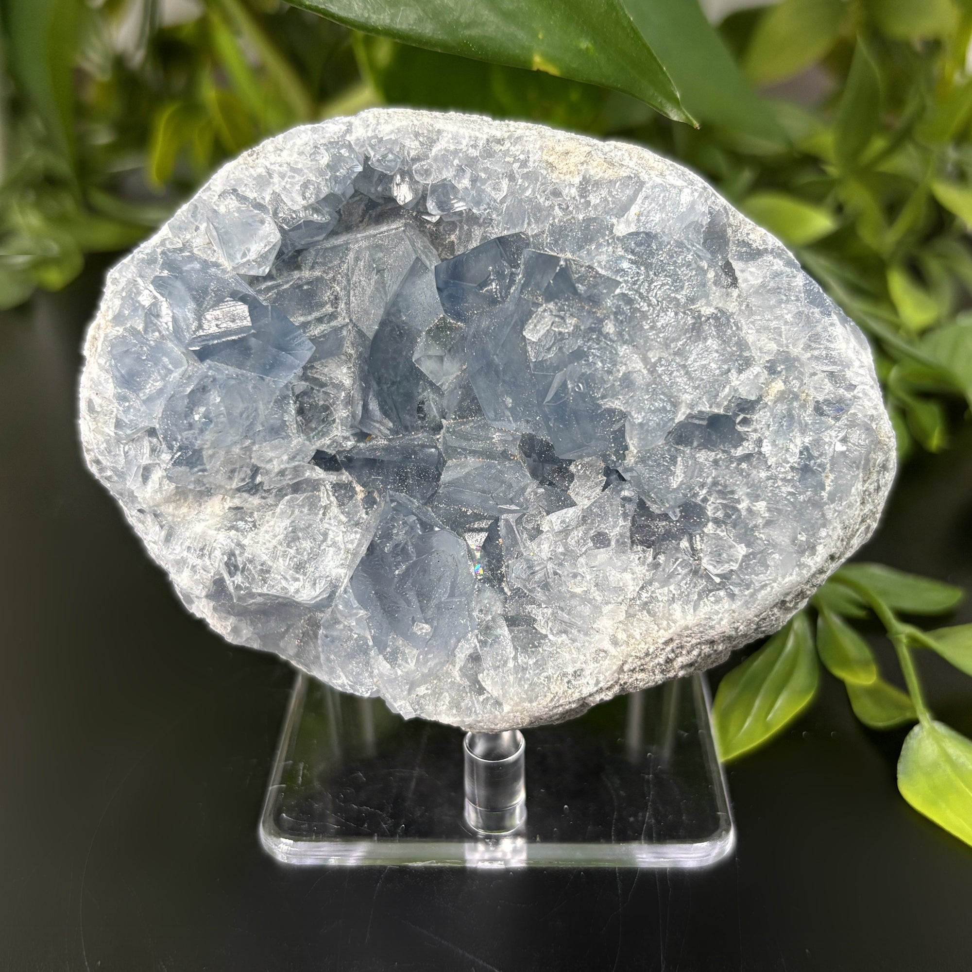 Natural Celestite Crystal Geode - Blue Healing Stone for Meditation, Chakra Balancing & Energy Work | Calming Home Decor & Spiritual Gift | Perfect for Yoga, Reiki & Bedroom Serenity