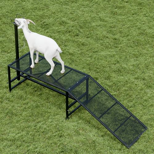 Black + Ramp