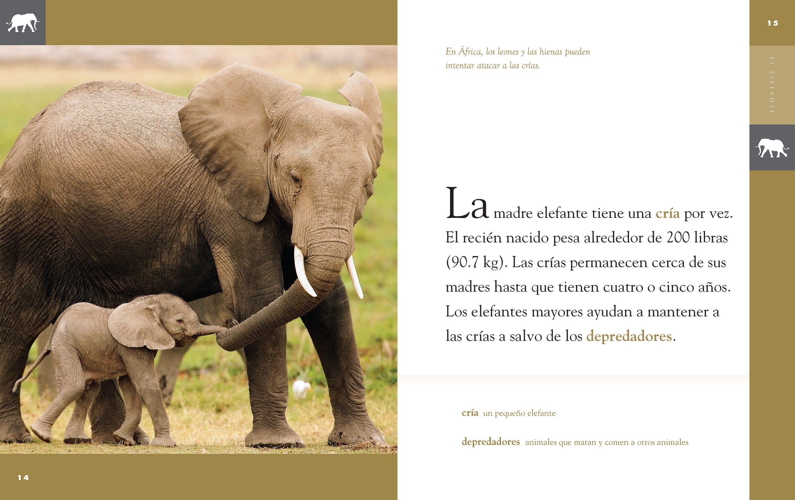 El Elefante 9781640264656 - Elephant Book for Kids, Wildlife Education & Animal Facts | Perfect for Classroom Learning & Bedtime Stories