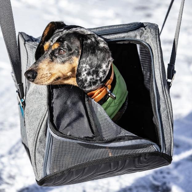 Kurgo® Metro Dog Carrier - Light Gray & Blue Pet Travel Carrier for Small to Medium Dogs | Perfect for Airplane, Car, and Public Transport Use