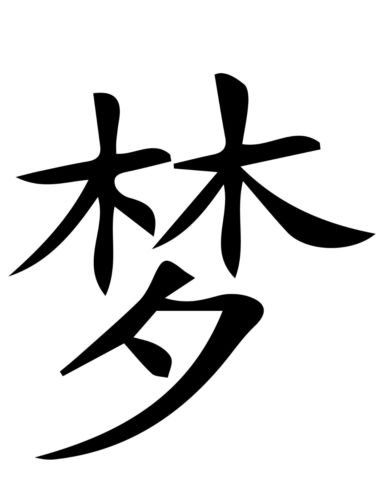 Dream Chinese Symbol Car Sticker - White Vinyl Decal for Windows, Bumpers, Laptops - Waterproof Die-Cut Decal for Cars, Trucks, SUVs - Perfect for Personalizing Vehicles, Laptops & Home Decor
