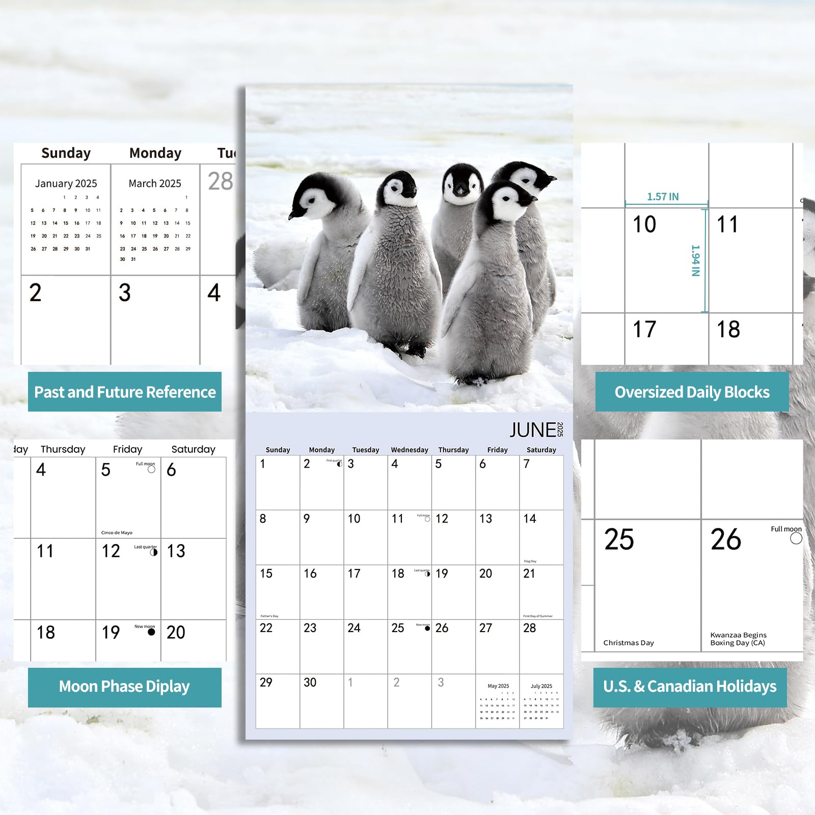 2025-2026 Baby Animals Wall Calendar - 18 Monthly Planner (12