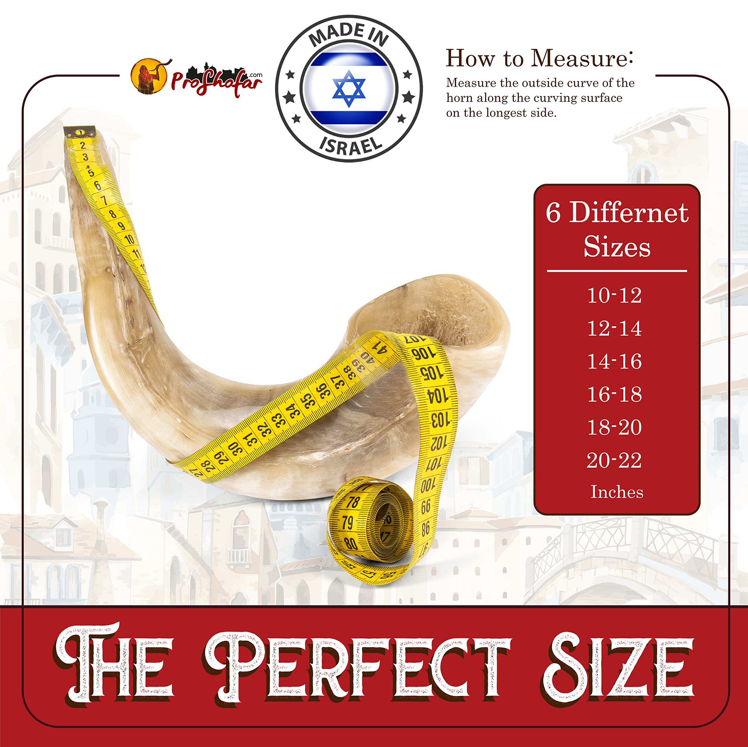 Authentic Polished Ram Shofar Set from Holy Land - Kosher Certified, Made in Israel with Velvet Carry Bag, Odor Neutralizer Spray, Cleaning Brush & Red Bracelet | Perfect for Jewish Holidays, Religious Ceremonies & Spiritual Practices