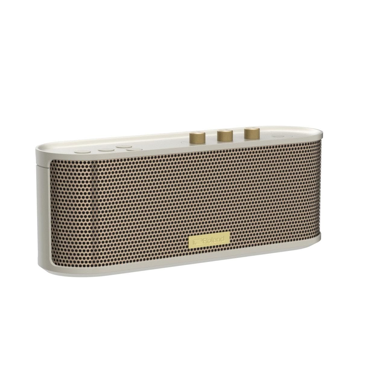 Roland BTM-1 Portable Bluetooth Speaker with Guitar Input - Perfect for Musicians, Outdoor Performances & Home Practice