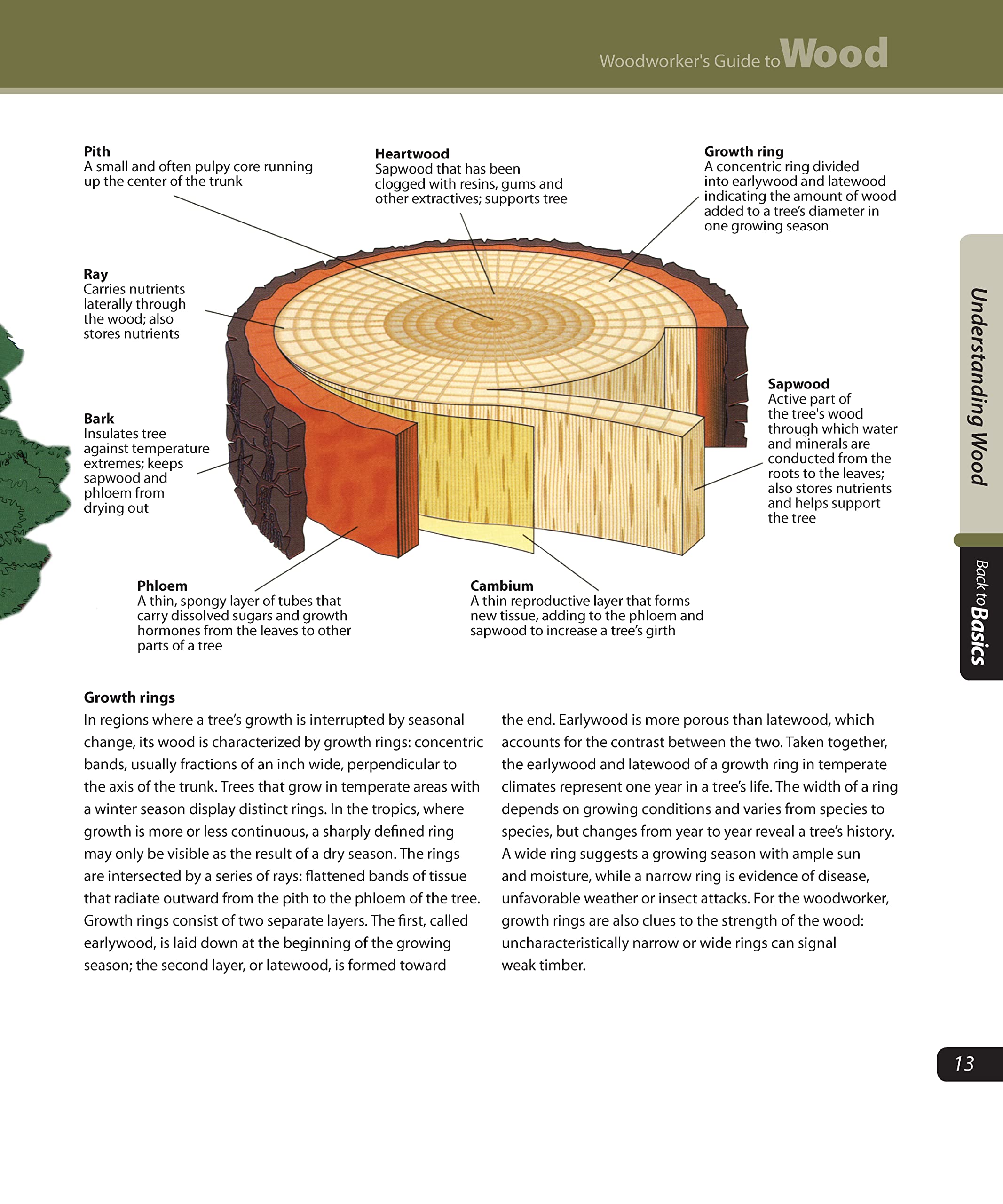Woodworker's Guide to Wood: Essential Tips & Techniques for Modern Woodworkers - Perfect for DIY Projects, Furniture Making & Home Renovations