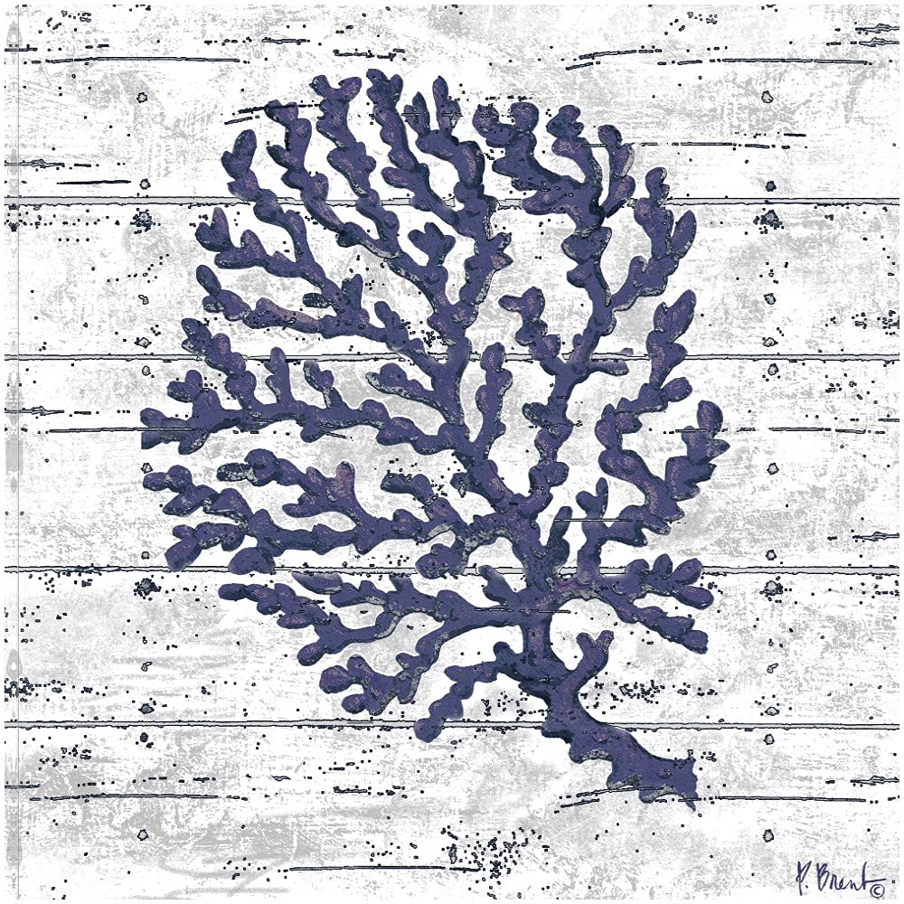 Paul Brent Fine Art Canvas Cape Coral II - 22x22 Inch White Canvas Wall Art for Living Room, Bedroom, Office Decor | Modern Abstract Painting | Ready to Hang Home Decor for Bathroom, Kitchen, Bar & Dining Room
