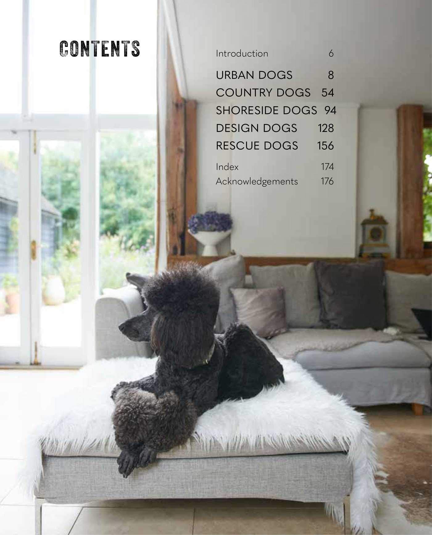 Stylish Dog Accessories for Trendy Homes - Elevate Your Pet's Lifestyle with Modern Dog Decor & Essentials | Perfect for Pet-Friendly Living Spaces