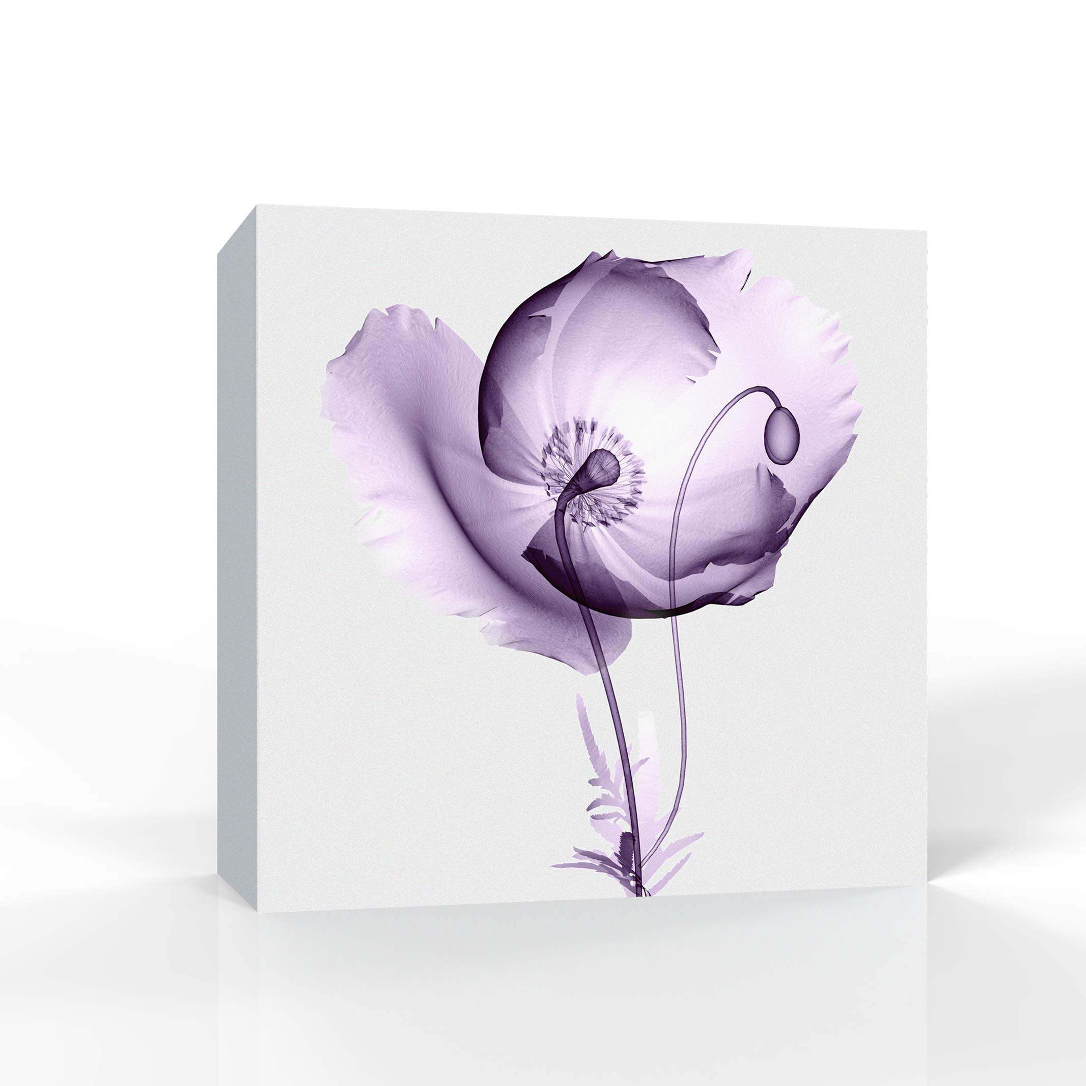 Wall26 16x16 Inch Purple Flower Canvas Wall Art - Framed Home Decor Paintings for Bedroom, Living Room, Office, and Bathroom