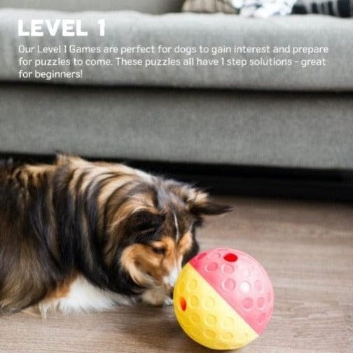 Outward Hound Treat Tumble Interactive Dog Toy - Fun Puzzle Feeder for Small & Large Dogs - Mental Stimulation & Slow Feeding - Perfect for Indoor Play & Training Sessions