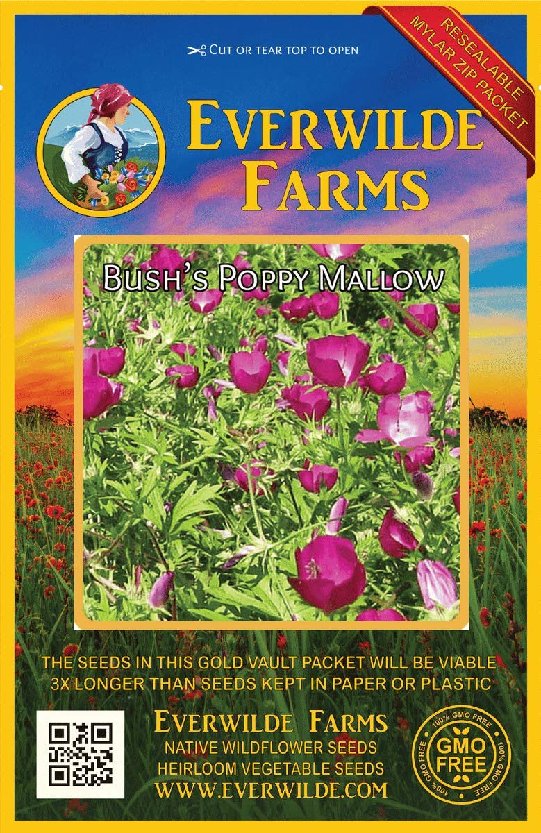 Everwilde Farms - 1 Oz Bush's Poppy Mallow Native Wildflower Seeds - Gold Vault Packaging - Attract Pollinators & Beautify Gardens