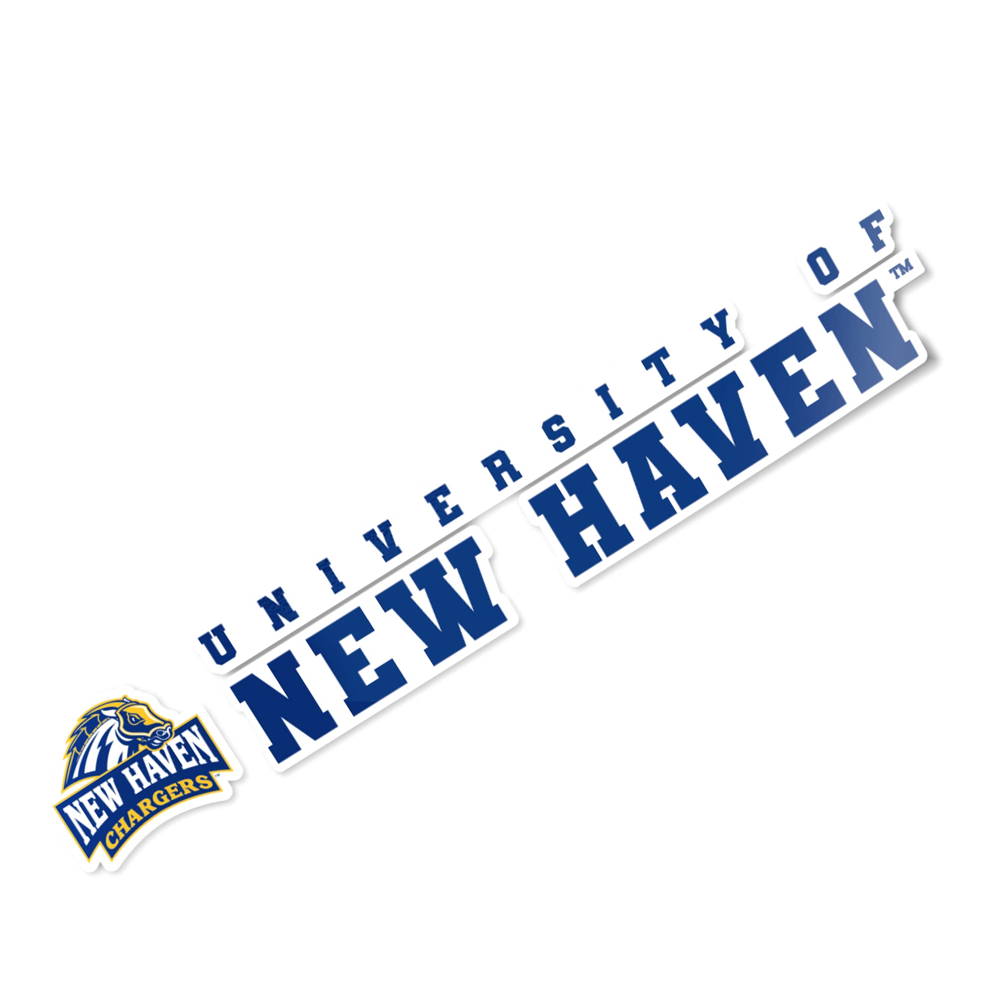 UNH Chargers Vinyl Decal Sticker - 8 Inch Desert Cactus University of New Haven Logo for Laptop, Water Bottle, Car & Scrapbook - Perfect for School Spirit, College Pride & DIY Crafts
