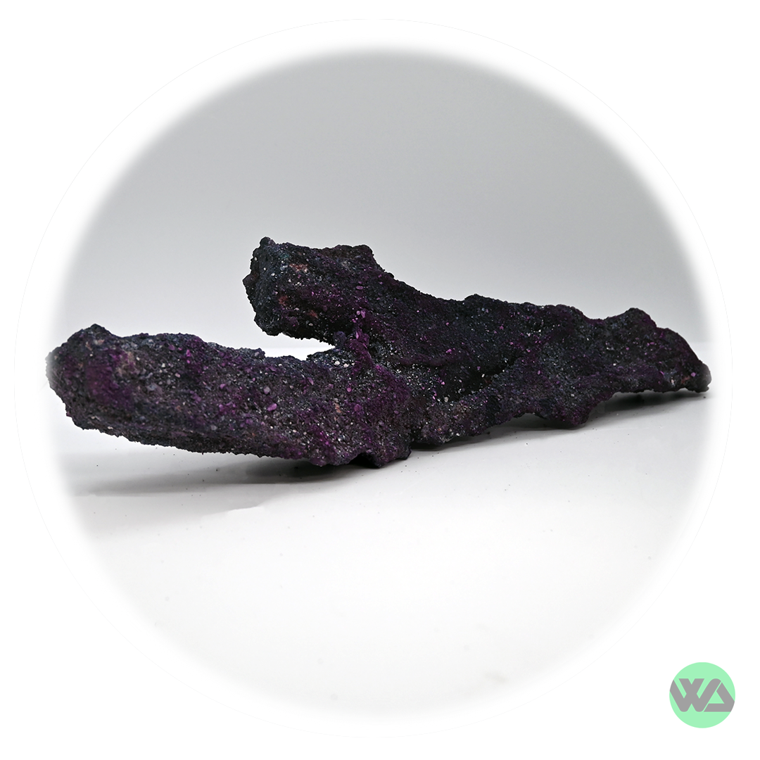 Premium Live Rock for Saltwater Aquariums - Natural Belize Branch Coral for Reef Tanks | Enhances Marine Ecosystem & Fish Habitat
