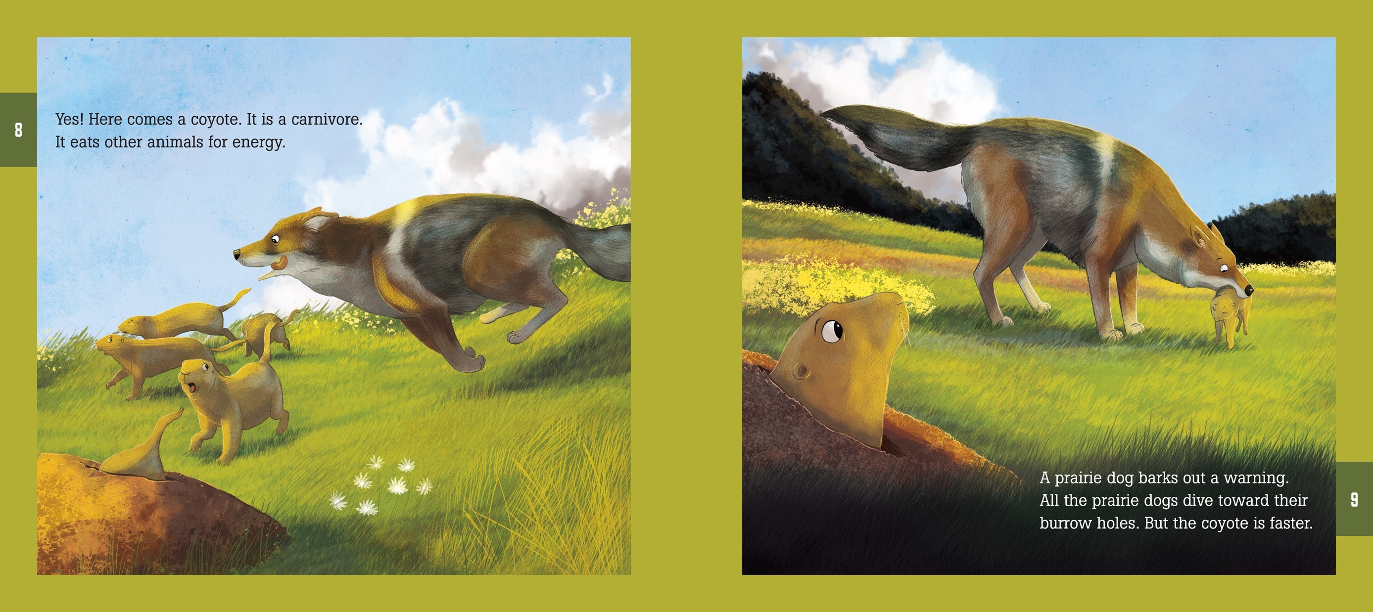 Grassland Food Web Ecosystem - Explore Producers, Consumers & Decomposers in Grassland Biomes | Perfect for Biology Students & Nature Enthusiasts