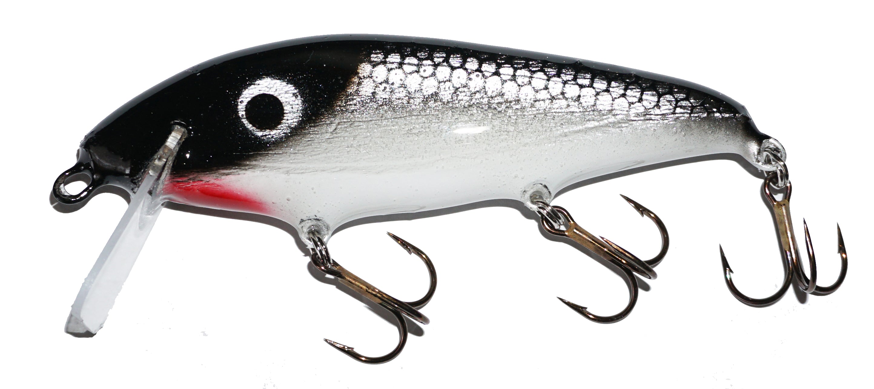 Crane Shad 305 Crankbait Fishing Lure - Premium Bass Fishing Bait for Freshwater & Saltwater - Perfect for Casting, Trolling, and Tournament Fishing