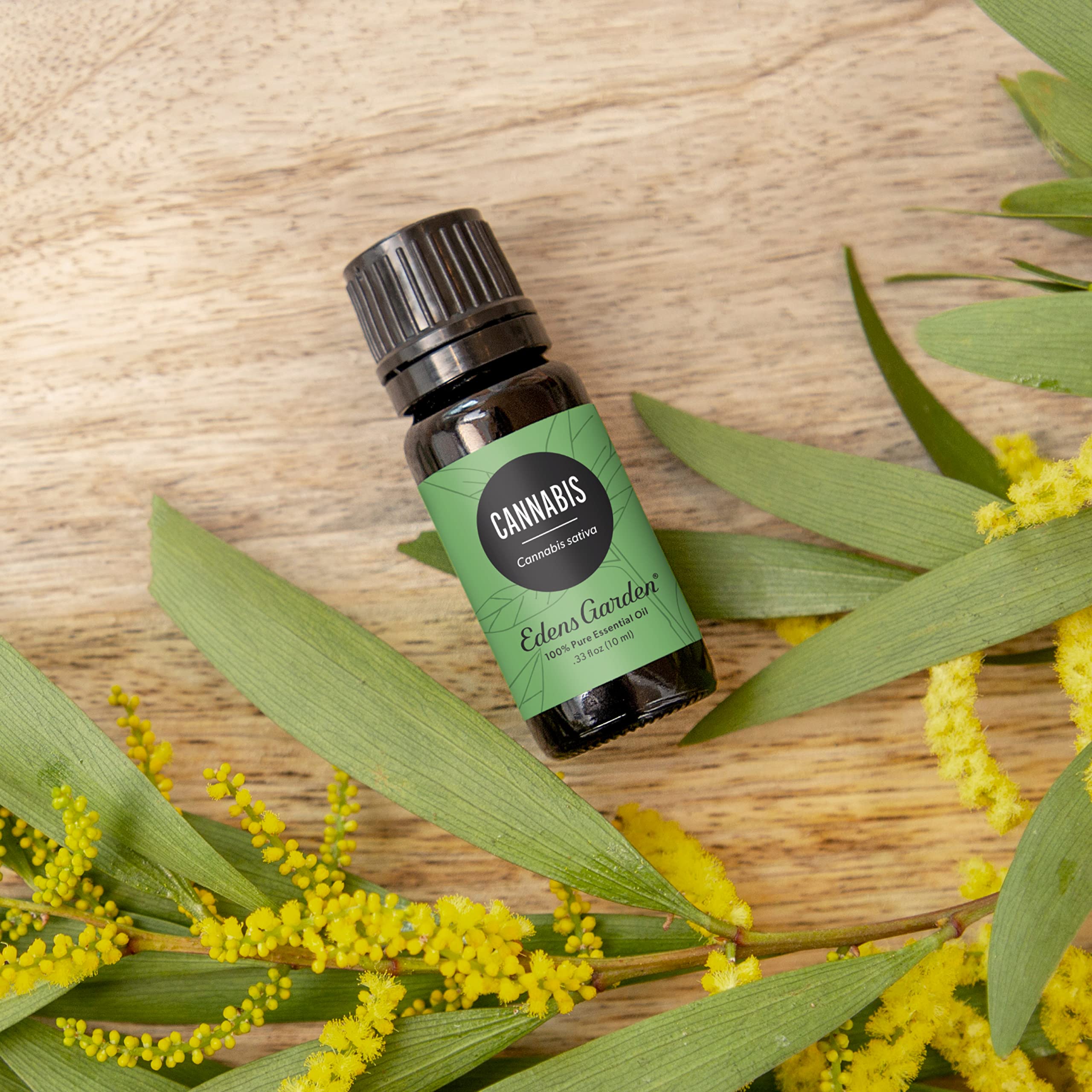 Edens Garden 100% Pure Cannabis Essential Oil - Premium Undiluted Therapeutic Grade for Aromatherapy, Diffusers, Skin Care, Candles & Humidifiers (10ml/.33 fl oz) - Perfect for Relaxation, Stress Relief & Home Spa