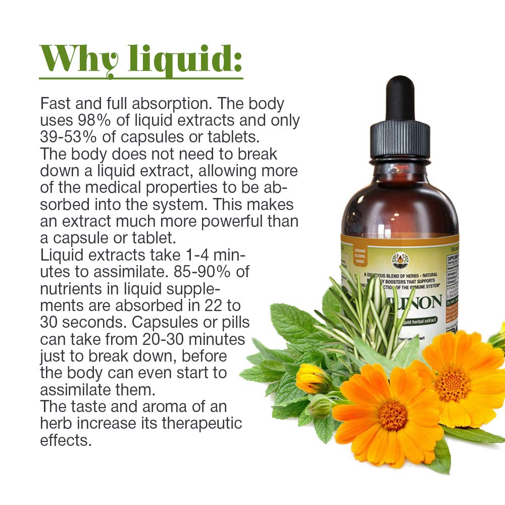 Natural Immune Support Supplement - Alcohol-Free Herbal Extract with Quina, OSHA, Echinacea & 9 More Powerful Herbs (32 oz) - Boost Wellness for Cold Season, Travel & Daily Immune Defense