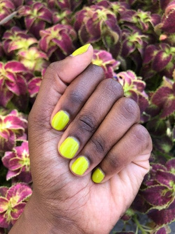 Palate Pistachio Nail Polish - Vegan & Cruelty-Free Green Nail Lacquer for Women | Perfect for Spring Nails, Manicures & Pedicures
