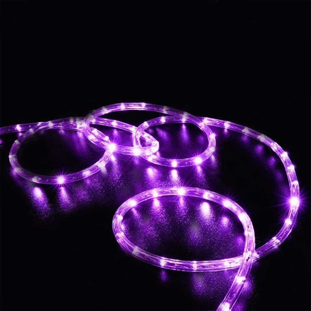 Toodour 100ft LED Rope Lights Outdoor Waterproof, 720 Purple LED Connectable Tube Lights with 8 Modes - Clear Decorative Lighting for Halloween, Garden, Patio, Bedroom & Party Decor | Perfect for Outdoor Holiday Displays, Backyard Lighting & Special Events