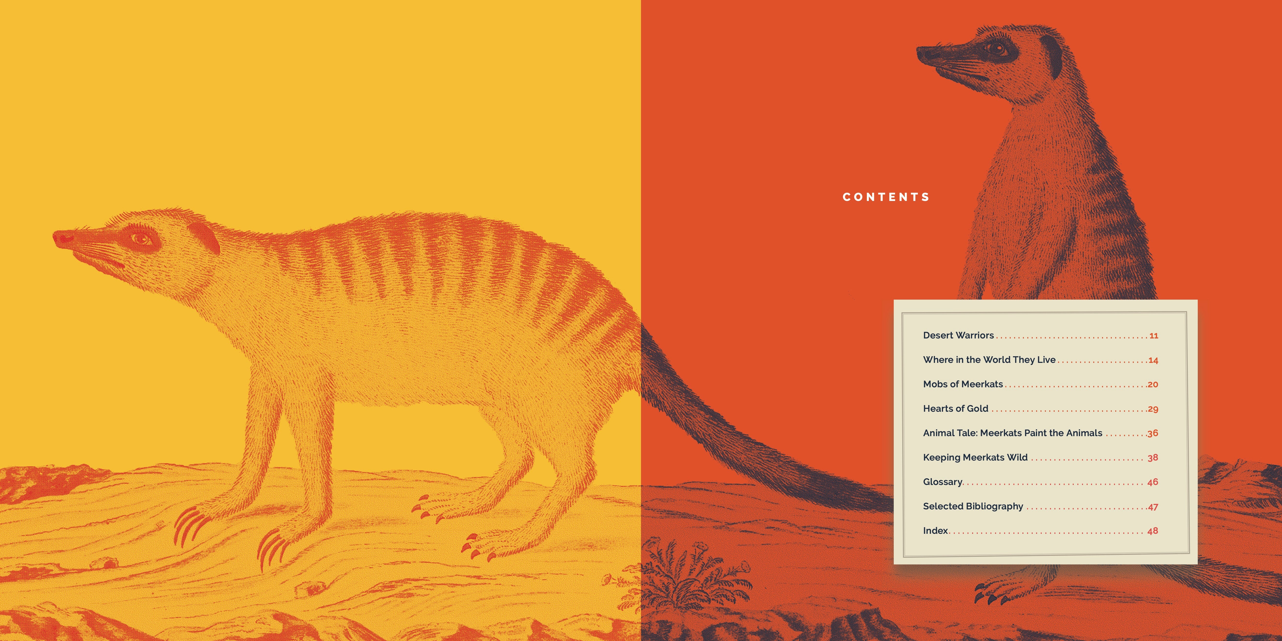 Meerkats Book 9781640267930 - Wildlife Animal Facts & Photos for Kids, Adults - Perfect for Learning, Gifts & Classroom Use