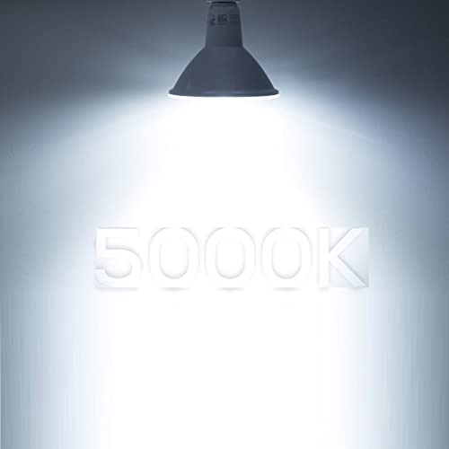 5000k Daylight