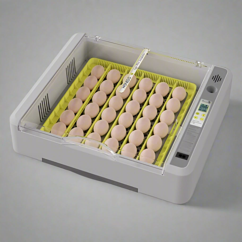 36 Egg Automatic Digital Incubator & Hatcher – Precise Temperature & Humidity Control for Chicken, Duck, Quail Eggs | Perfect for Home Poultry Farming, School Projects & Hatching Eggs | SKU: 825EW36