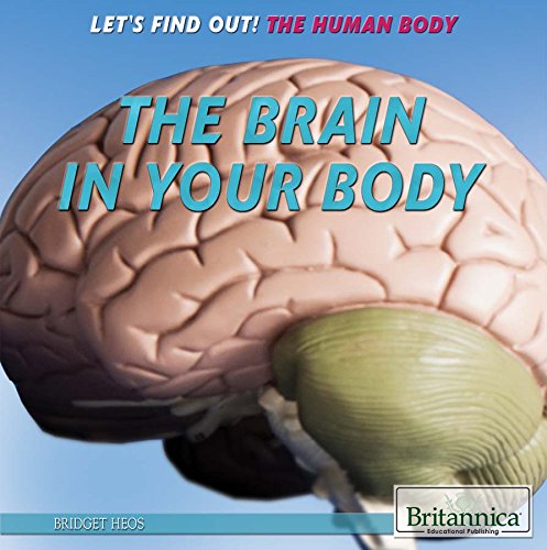 The Brain in Your Body - Human Anatomy Book for Kids | Learn About Brain Functions & Nervous System | Perfect for Science Class & Homeschooling