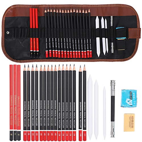 Professional Sketch Drawing Pencils Set - 12 Graphite & Charcoal Pencils with Eraser & Carrying Case - Perfect for Beginners, Kids & Artists - Ideal for Art Classes, Sketching & Creative Gift Giving