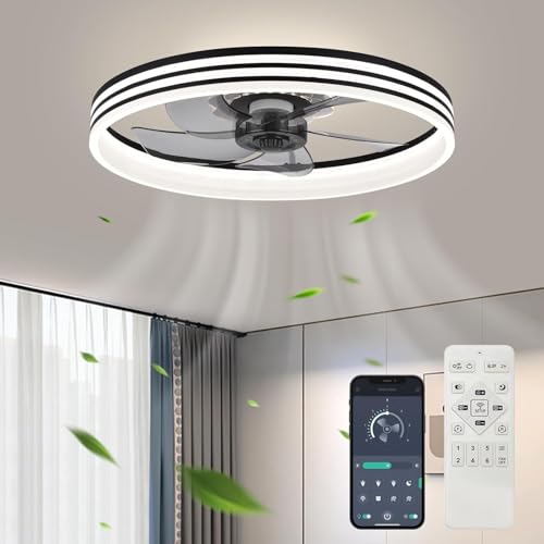 F118 Black Ceiling Fan with Light