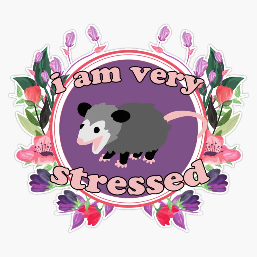 Leyland Designs Stress Relief Cute Opossum with Flowers Vinyl Sticker - Waterproof Outdoor Decal for Windows, Cars, Laptops & DIY Crafts (5 Inch) - Perfect for Home Decor, Office Workspace & Gift Giving